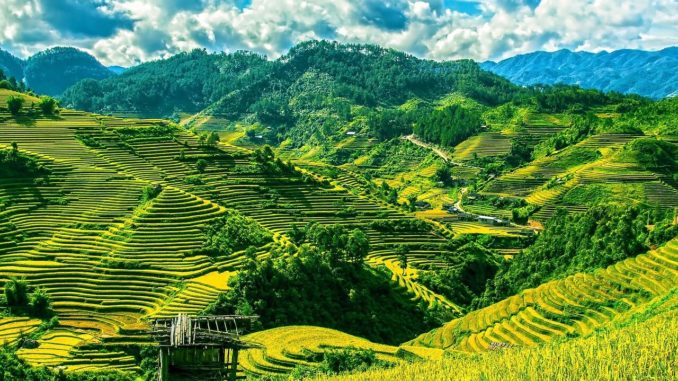 Catching your heart when knowing best time to visit Vietnam