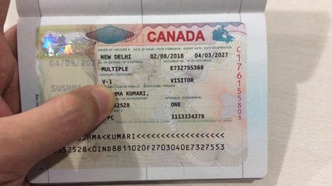 Vietnam Visa for Canadian Citizens Requirements, Types, Process, and More