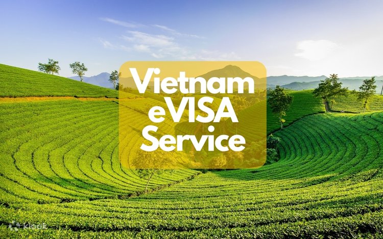 Vietnam Visum Support auf Deutsch 24/7 – Ihr zuverlässiger Begleiter für reibungslose Einreisen